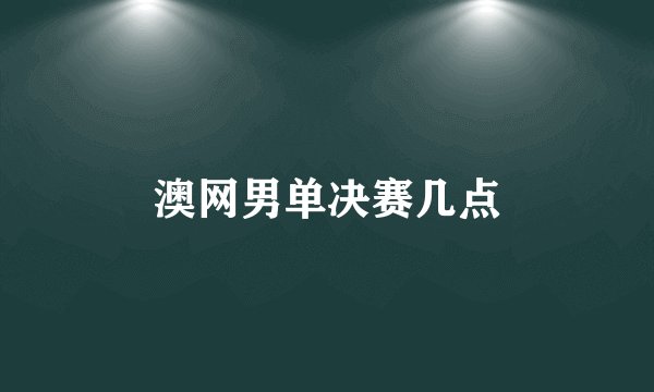 澳网男单决赛几点