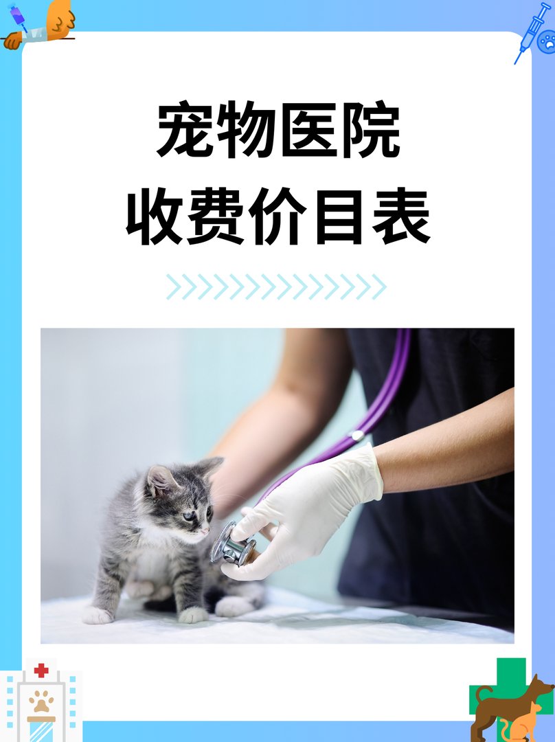 宠物医院收费价目表
