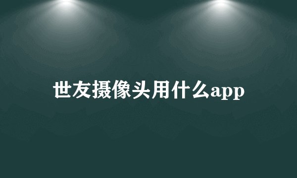 世友摄像头用什么app