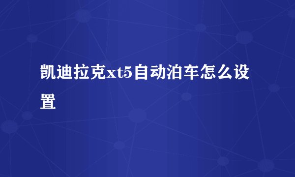 凯迪拉克xt5自动泊车怎么设置