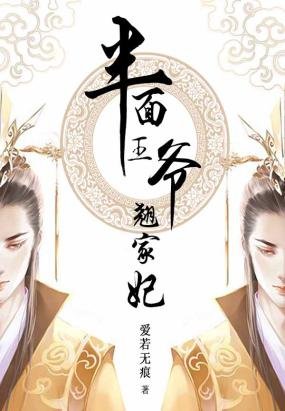 王爷情之半面王妃的小说目录