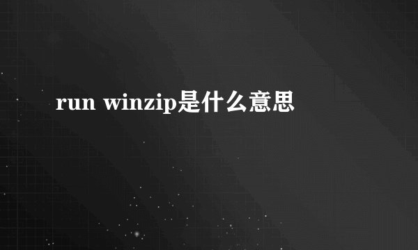 run winzip是什么意思
