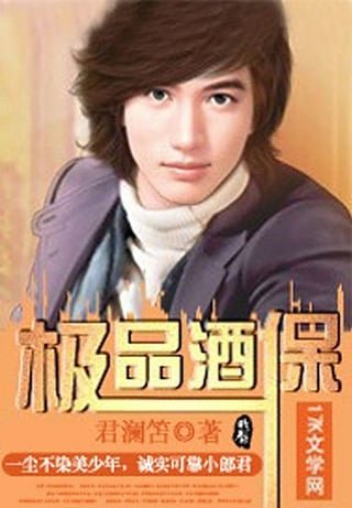 极品酒保的卷二 叱咤风云