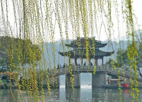 春天在什么地方干什么仿写句子