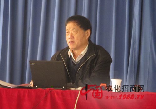 余国荔的个人经历