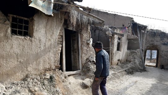 破烂不堪打一个动物