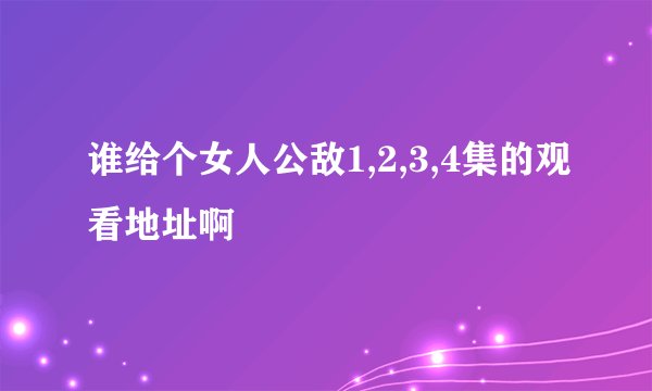 谁给个女人公敌1,2,3,4集的观看地址啊