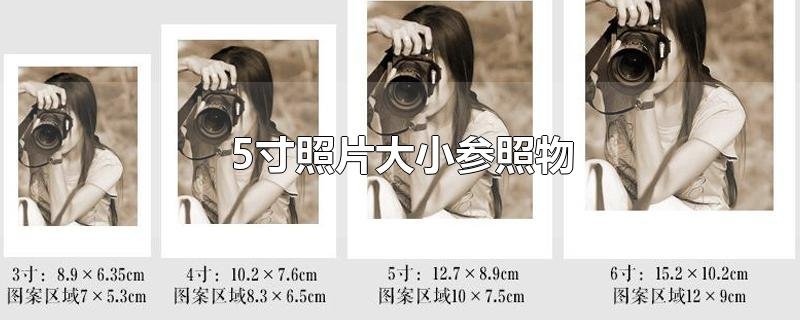 5寸照片长宽是多少？