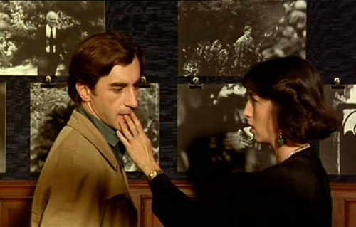 情殇玫瑰园的剧情简介