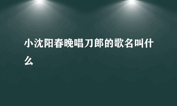 小沈阳春晚唱刀郎的歌名叫什么