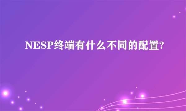 NESP终端有什么不同的配置?