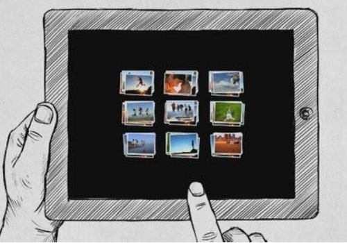 Feeds是什么意思