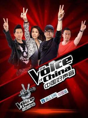 《中国好声音》是一个什么类型的节目？