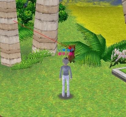 qq炫舞的神兽萌萌在哪