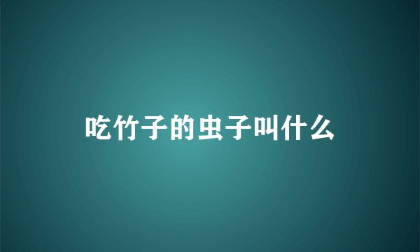 吃竹子的虫子叫什么