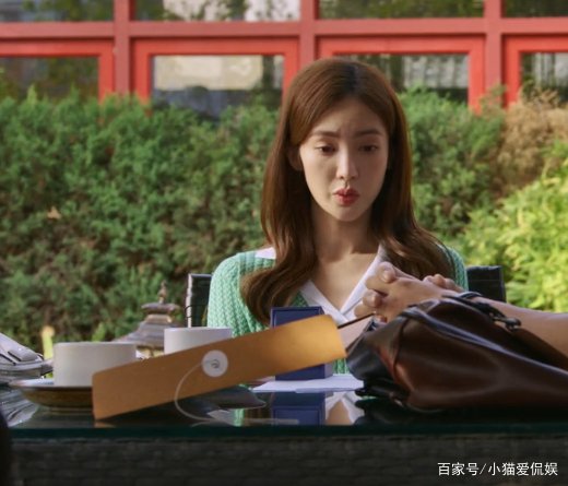 影视剧北辙南辕里面,最后戴小雨是跟谁在一起了?