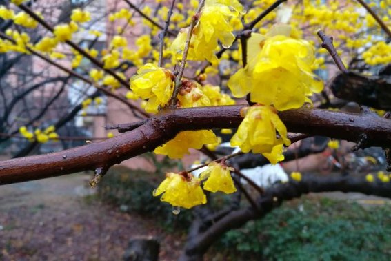 跟雨有关的古诗