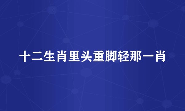 十二生肖里头重脚轻那一肖