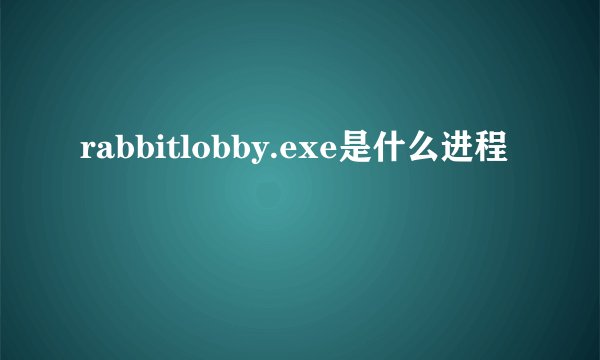 rabbitlobby.exe是什么进程