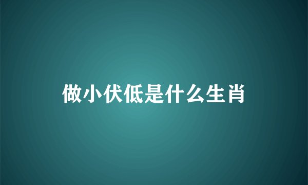 做小伏低是什么生肖