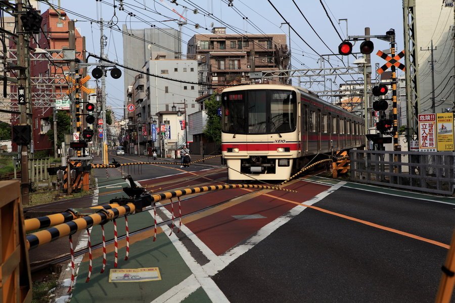 为什么会有日本左翼和日本右翼之分？它们都分别代表了什么呢？