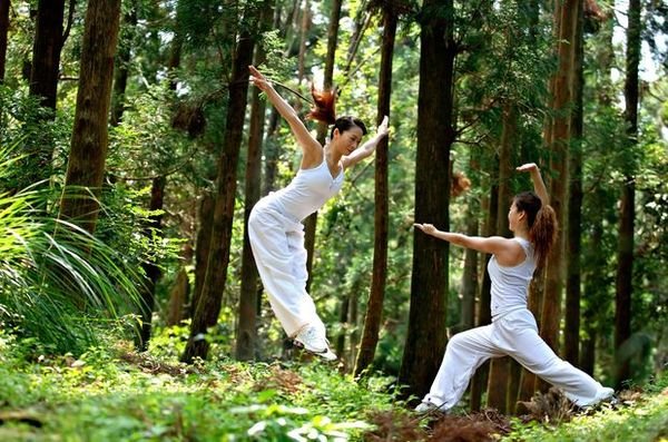 真月的森林的人物介绍