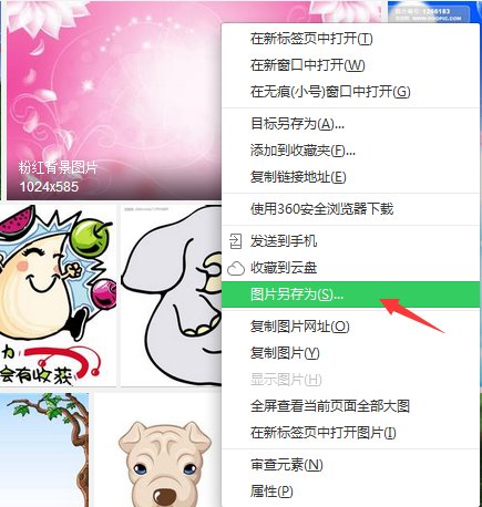 爱妻网 图库频道里面的图片如何另存到电脑里面