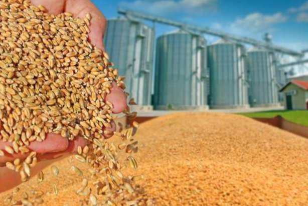 发挥自身优势 抓住什么这个核心竞争力