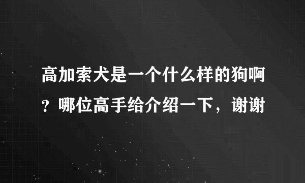 高加索犬是一个什么样的狗啊？哪位高手给介绍一下，谢谢