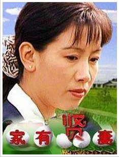 家有贤妻下一句是什么？