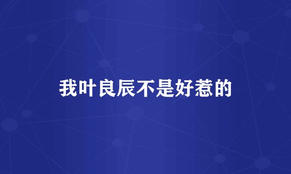 我叶良辰不是好惹的