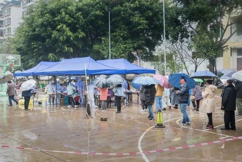 百色因疫情封城，疫情的源头是什么