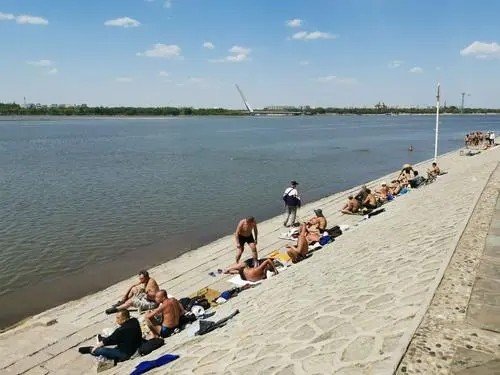 太的笔顺和部首