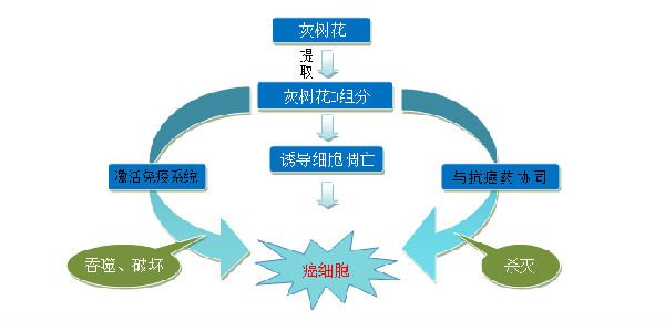 D阻分的机理研究