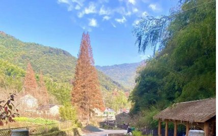 “五一”首日景区现状:48小时核酸成必备，核酸证明会成为常用品吗？