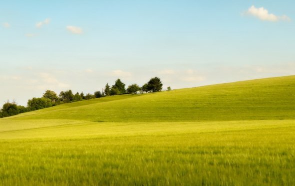 ABAB式的词语有哪些?