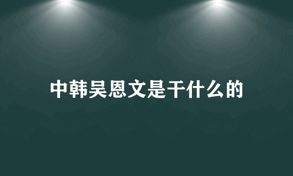 中韩吴恩文是干什么的