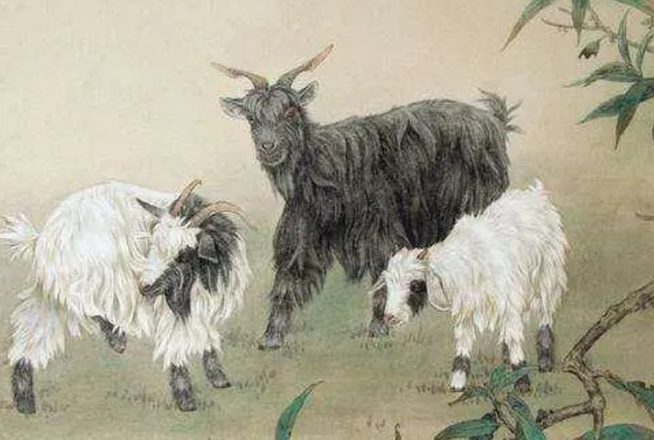 宿将旧卒指一生肖