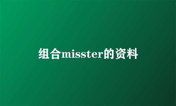 组合misster的资料