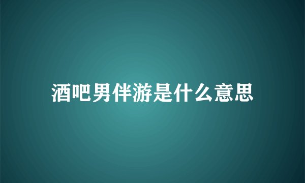 酒吧男伴游是什么意思
