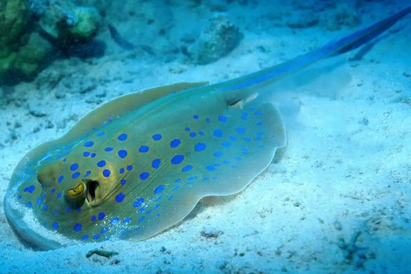 海底都有哪些秘密