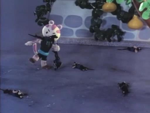 老猪选猫的故事梗概