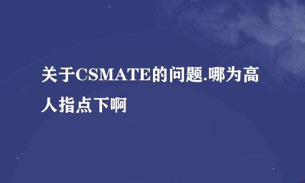 关于CSMATE的问题.哪为高人指点下啊