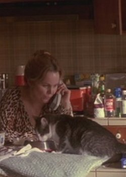 怒火风暴的影片信息