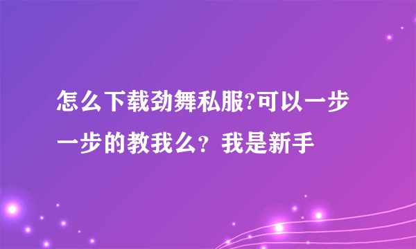 怎么下载劲舞私服?可以一步一步的教我么？我是新手