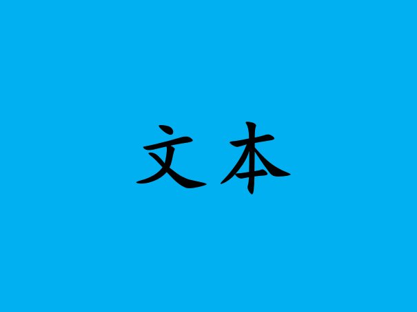 文本是什么意思