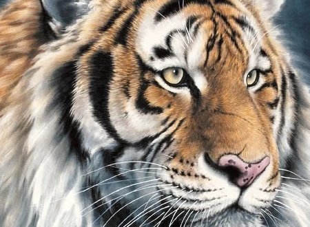 dale什么意思|英汉汉英词典