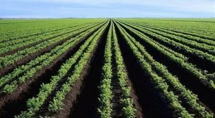 有网民反映磁县“承包土地浇地难”,官方是如何回应这件事的?