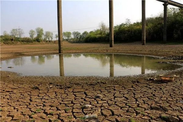 竭的拼音是什么