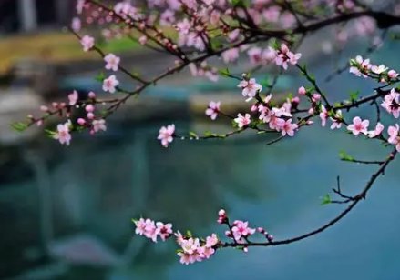 不负春光和时行的意思是什么？